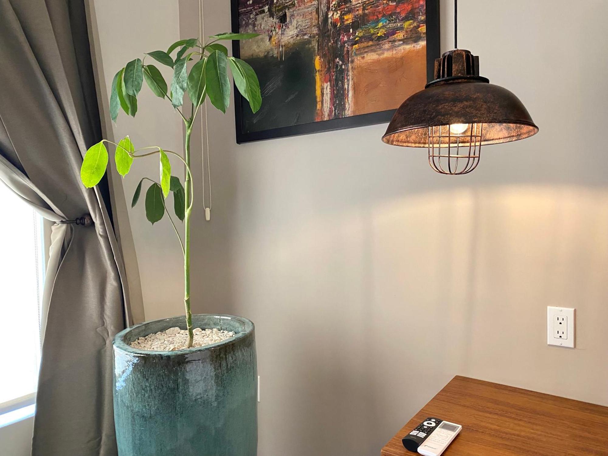 Hotel Tierra Mia Hacienda Ruta Del Vino Valle de Guadalupe Zewnętrze zdjęcie