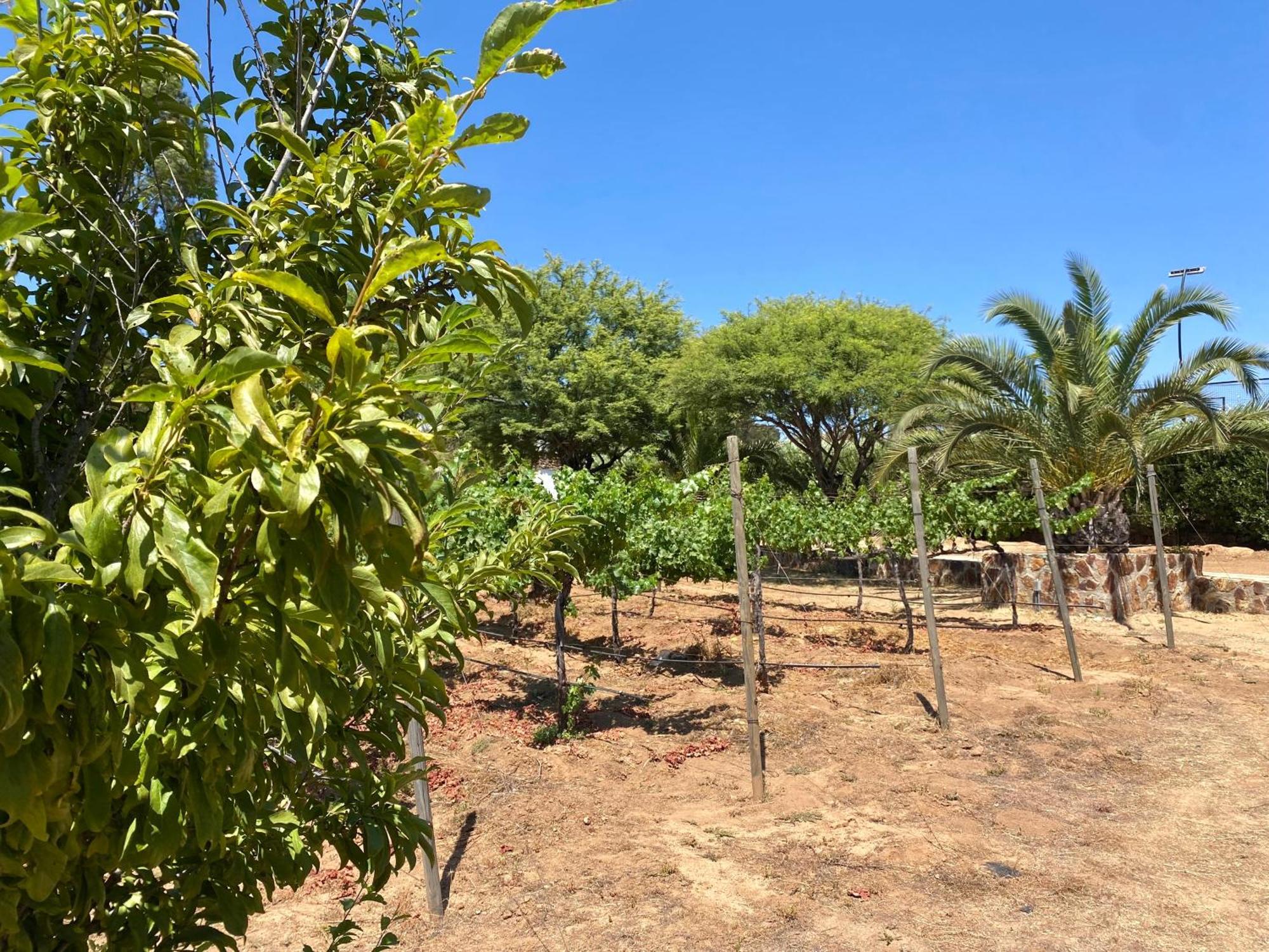 Hotel Tierra Mia Hacienda Ruta Del Vino Valle de Guadalupe Zewnętrze zdjęcie