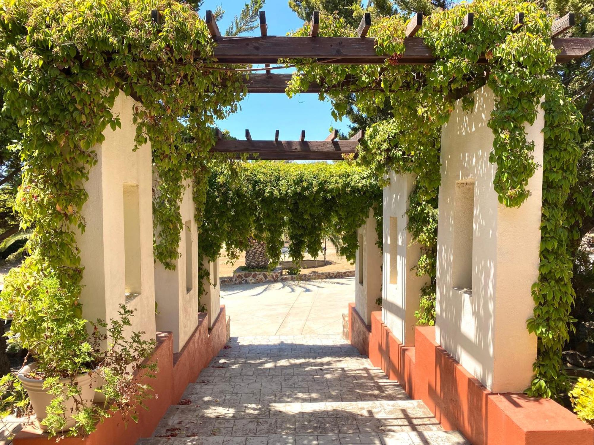 Hotel Tierra Mia Hacienda Ruta Del Vino Valle de Guadalupe Zewnętrze zdjęcie